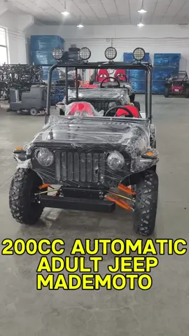 200cc Automatic gear Auto Clutch Air cooled Adult mini jeep Off road go kart factory #buggy #gokart #minijeep