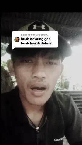 Membalas @pcrku97edas buah kaung dak #fyppp #masukberanda #denypastem #buahkaung_pandeglang #viralvideo 