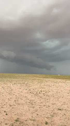 #اكسبلورررررررررررررررررررر♡♡ #تصويري_احترافي #صباحيات 