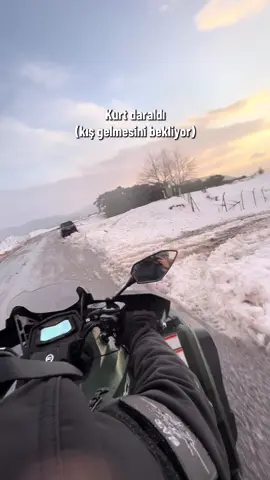kış gel oğlum artık #keşfett #keşfetteyizzz #beniöneçıkart #fyppppppppppppppppppppppp #fypシ゚ 