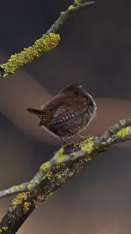 #الباقيات الصالحات خيراً وأبقى 🌹🤍❤