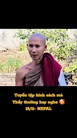 Nghe Thầy kể mà choáng, Thầy nghe hết luôn đủ thứ loại kinh, kính nể Thầy 🥰🙏 #xuhuong #thichminhtue #gaimienque ☘️🌸