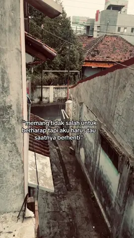 #pidibaiq#dilanmilea#dilan1990 