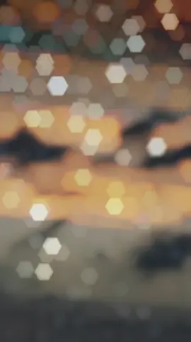 #ضاق صدري يارفاقي ويش باقي ويش باقي#مجرد________ذووووووق🎶🎵 #تصميم_فيديوهات🎶🎤🎬 