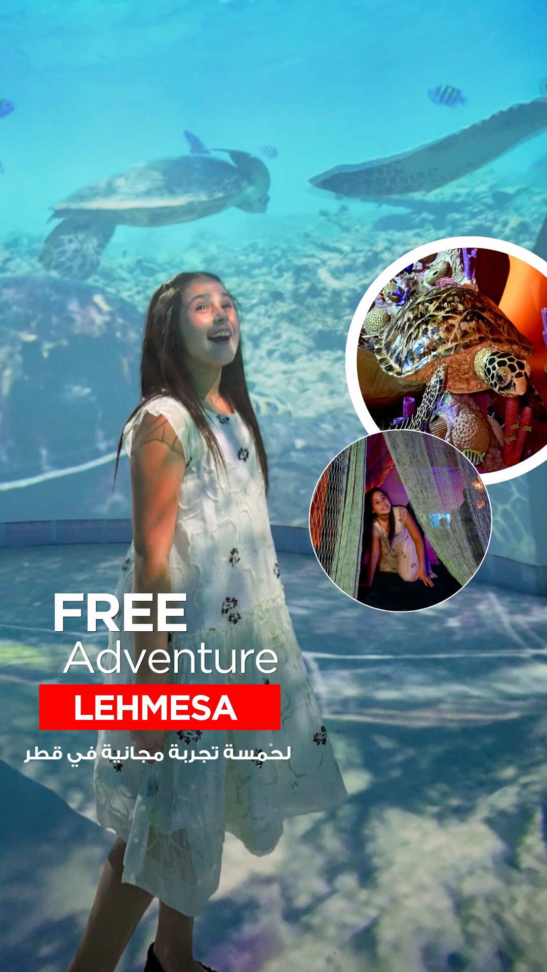 ✨ Explore Lehmesa,Return by Moonlight, a magical immersive experience that highlights Qatar’s treasured Hawksbill sea turtle and its importance to the country’s marine world. 🐢🌊🪸 📍 Gallery 2, National Museum of Qatar 📅 27 Oct 2025 – 7 Feb 2026 🕒 Sun, Mon, Wed, Sat: 9 AM – 7 PM Thu: 9 AM – 9 PM Fri: 1:30 PM – 7 PM Tue: Closed 🎟️ Tickets: Free for residents & students | 25 QAR for non-residents ✨ Don’t miss this journey through Qatar’s coastal world at NMoQ! ‎✨ انطلقوا في تجربة “لحْمِسة: عودة على ضوء القمر”, وهي تجربة غامرة تأخذكم في عالم السلاحف صقرية المنقار المحبوبة في قطر، وتُبرز دورها المهم في البيئة البحرية. 🐢🌊🪸 ‎📍 الموقع: القاعة 2، متحف قطر الوطني ‎📅 التواريخ: 27 أكتوبر 2025 – 7 فبراير 2026 ‎🕒 الأوقات: ‎الأحد، الإثنين، الأربعاء، السبت: 9 صباحًا – 7 مساءً ‎الخميس: 9 صباحًا – 9 مساءً ‎الجمعة: 1:30 ظهرًا – 7 مساءً ‎الثلاثاء: مغلق ‎🎟️ التذاكر: مجانية للمقيمين والطلاب | 25 ريال قطري لغير المقيمين@National Museum of Qatar @Qatar Creates 