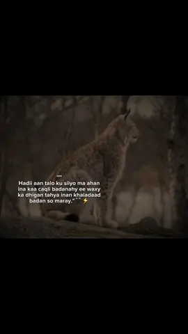 True.⚡🔥 #videoviral #Z4ck..15