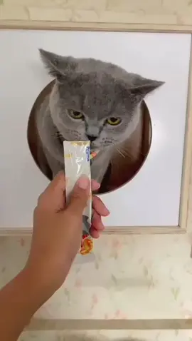 Lapor ketua ada snack enak ketua #xyzbca #fuji #fyppppppppppppppppppppppp #kucinglucu 