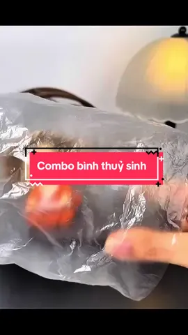 Combo bình thuỷ sinh #giadungthongminh #fyp #chauthuysinh 