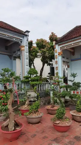 cô bác anh chị tham khảo 1 bộ về dùng nha#muataitiktok #camera3mat #camera4g #cameranangluongmattroi #videoviral @Toàn Săn Sêu 