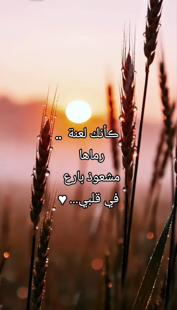#fypシ゚  #ڪأنك لعنة  ..  رماها مشعوذ بارع في قلبي... ♥