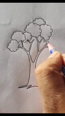 Tree Drawing Technique 🌳🌲🌴#drawing #pencildrawing #easydrawing #art #ABCDrawing 