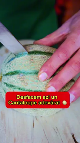 Începem ziua cu ceva fresh 🍈✨ Pepene Cantaloupe – dulce, parfumat și proaspăt. Azi îl găsești la degustare în băcănie 😊 #cantaloupe #pepene #fructe #ecotaran #bacanie 