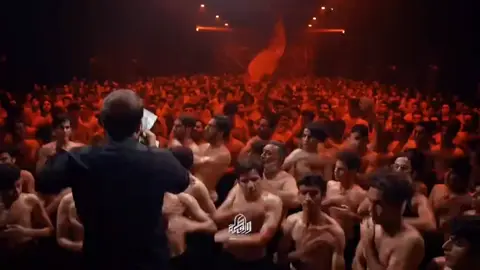 شد علة الميمون وعلن بل وفة #سيد_فاقد_الموسوي #الذاكر_محمد_الحصناوي #شور_حتى_الظهور #متابعه_ولايك_واكسبلور_احبكم 