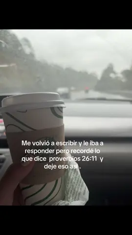 #salsaparaestados #greenscreenvideo #fly #