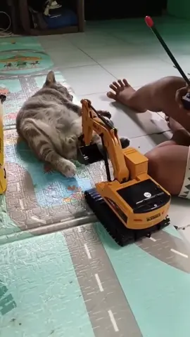 #ตามจังหวะ #CapCut #fyp #พิกัดลับ #ร้อยเอ็ด 