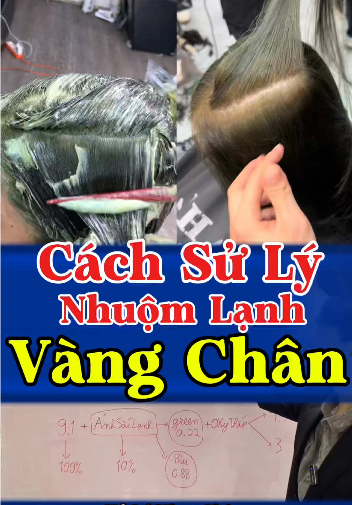 Nhuộm màu lạnh mà bị vàng chân tóc Phần chân tóc không bám được ánh sắc lạnh xanh Cách sử lý vàng chân khi nhuộm màu lạnh  #hocnghetoc #daycattoccoban #nhuomtocdep#mauthoitrang #maunhuomdep 