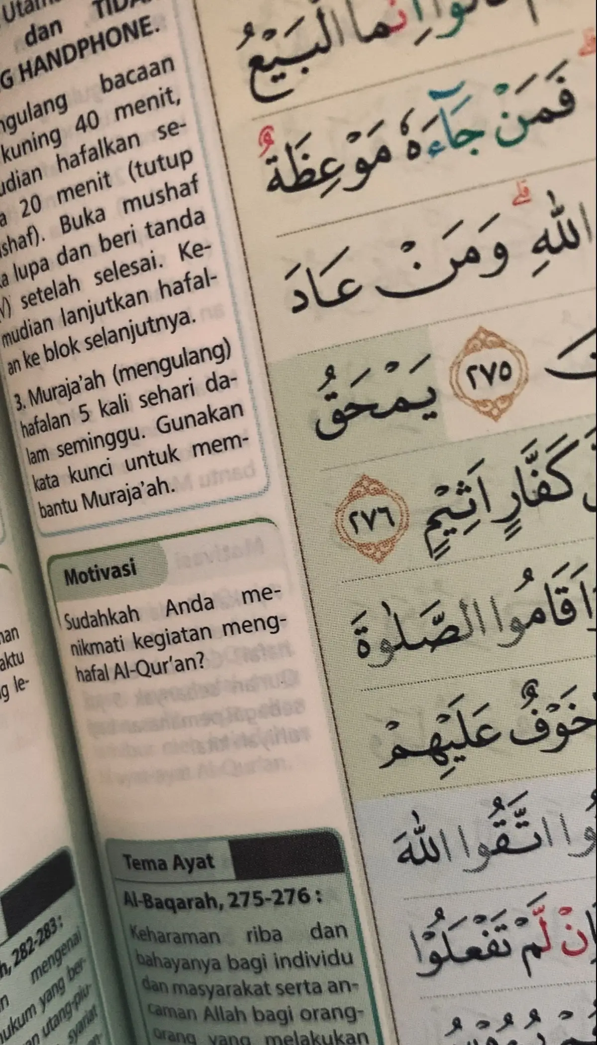 #penghafalquran #hafidzquran #motivasimenghafalquran 