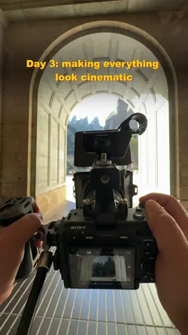 Handheld stabilization 😌🪄 #sony #sonyfx3 #filmmaking #cine #colorgrading 