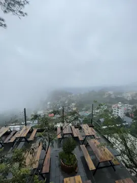 Tam đảo 18/11/25#tamdaovinhphuc 