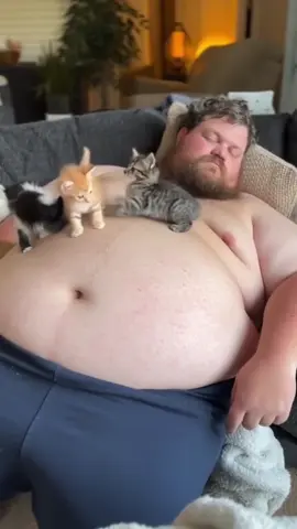 Kittens incoming! 🐱