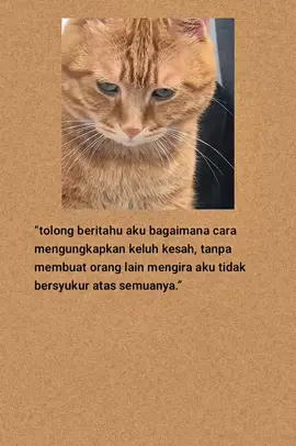 #katakatasedih #katakatabijak #viral #fyp #laguindia 