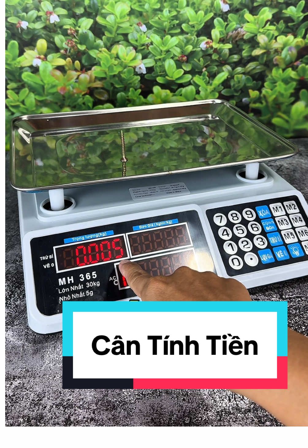 Cân tính tiền điện tử 5g - 30kg #cantinhtien #candientuthongminh #cantinhtiendientu 