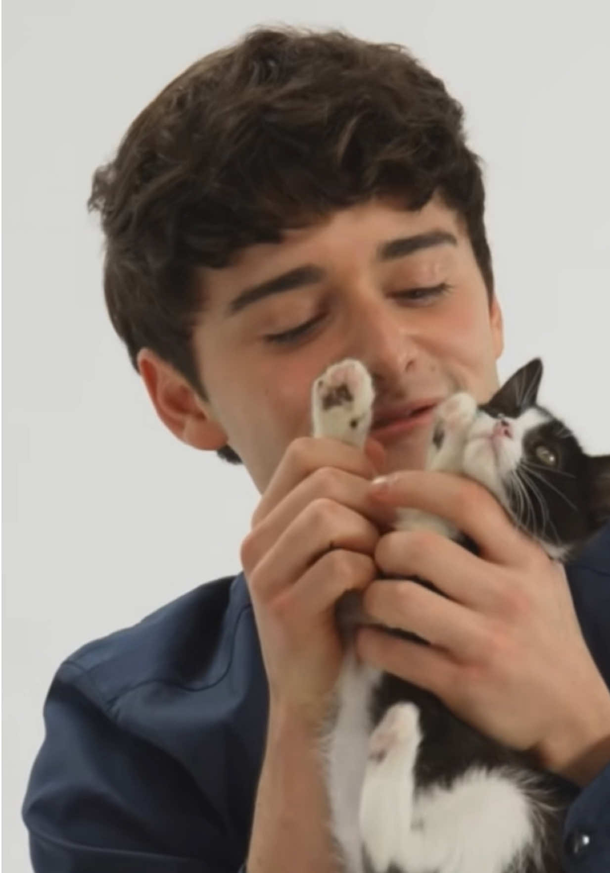 💀 #strangerthings5 #strangerthings #noahschnapp #milliebobbybrown #cat @Netflix @Stranger Things 