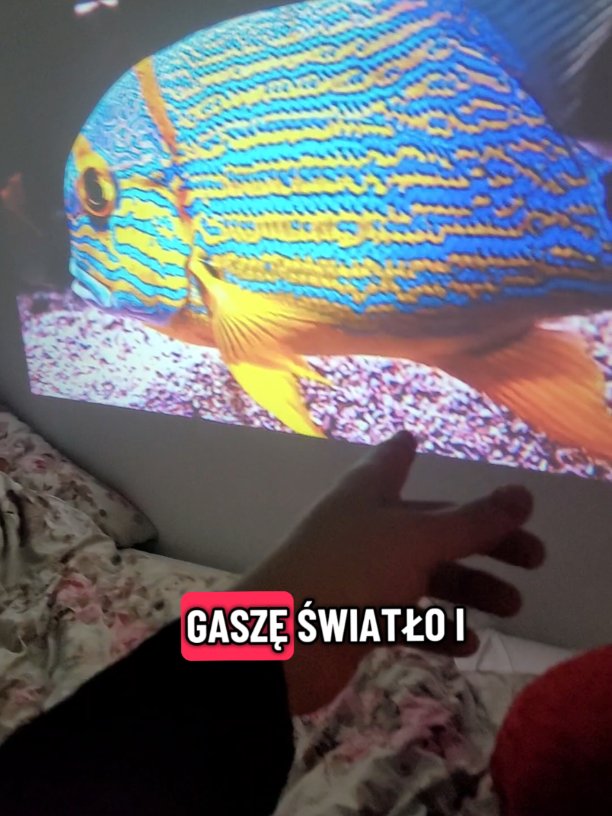 te filmy wyglądają tak dobrze, że mi WSTYD😳 #projektor #kinodomowe #gadzetydodomu 