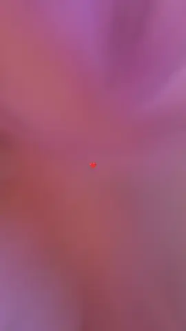 standar sepwrti ini #jichangwook #themanipulated #episode7 