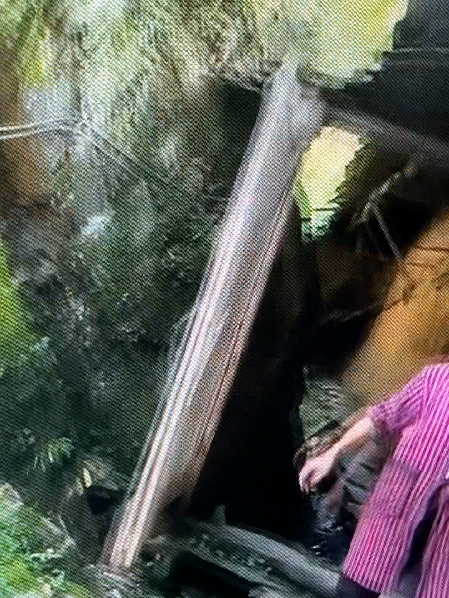 #tiktokshop #shopping #fyp #shop