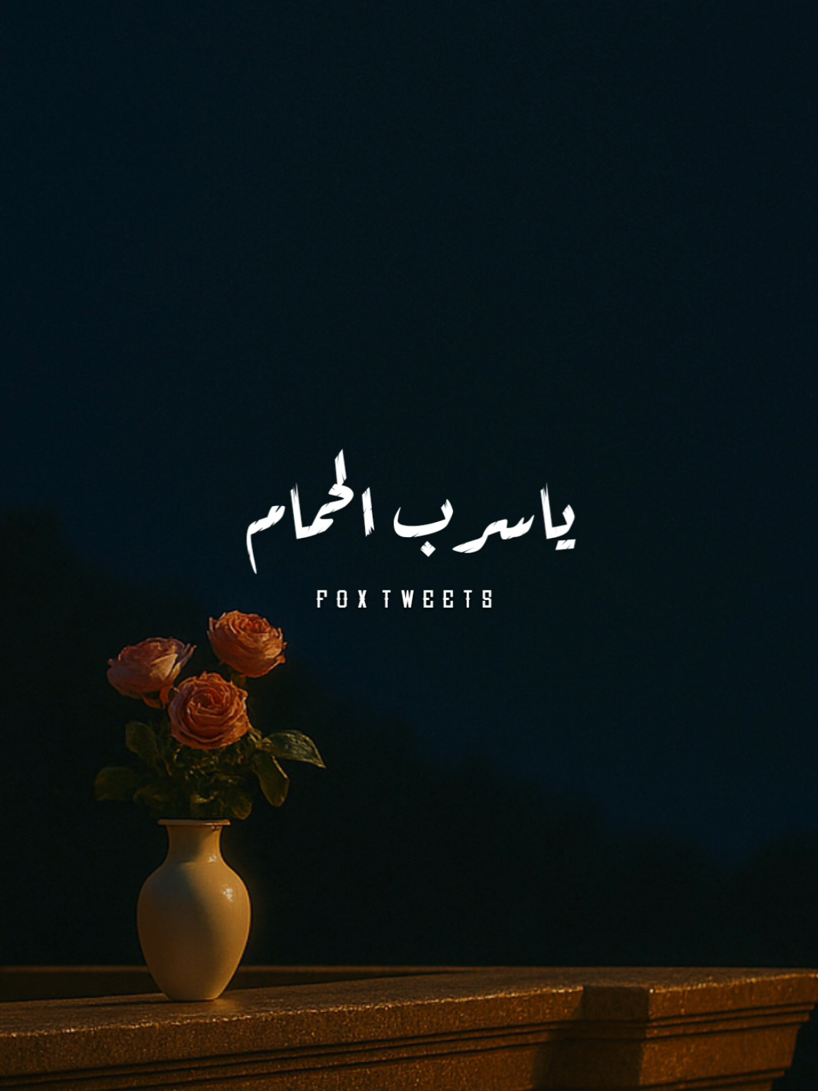 قلبي في هواك هايم ❤️ #CapCut #fpy #fpyシ #foryou #قلبي_في_هواك_هايم 