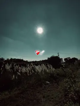 ❤️‍🩹🩹#creatorsearchinsights #me #tiktok #foryou #postres @TikTok 