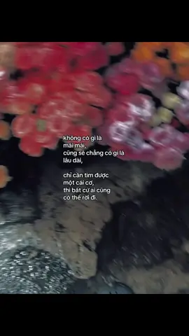 #_nqt_08th05 #ddnxuhuong 