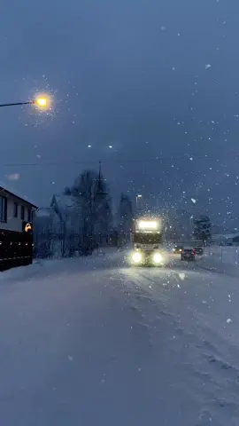 👤?#truckspotterbardufoss#støttruckspotting#scaniav8#norway#rått 