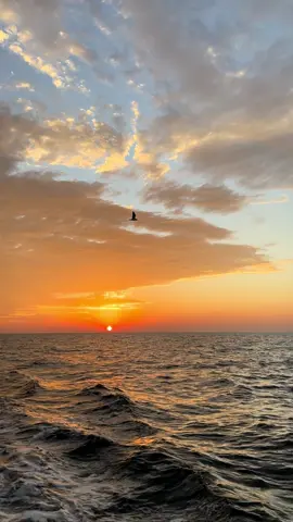 Đôi khi tập quên cũng là lúc em phải chọn tự vỗ về..