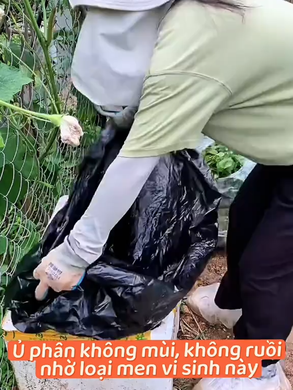 Phân hữu cơ vi sinh Em