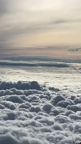 nekat di musim hujan #lautanawan #slametviabambangan #slametviadipajaya #gunungindonesia #pendakigunung 