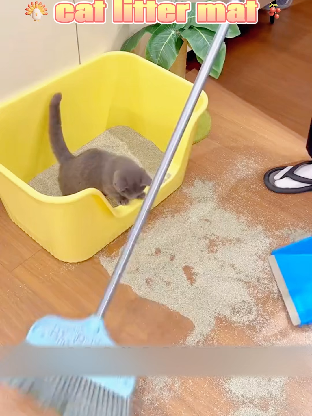 Makakapigil ang cat litter mat na ito sa pagdadala ng cat litter, kaya hindi mo na kailangang walisin ang cat litter araw-araw!#catlitter #cat #pet #fyp #lovecats #mat #catlittermat
