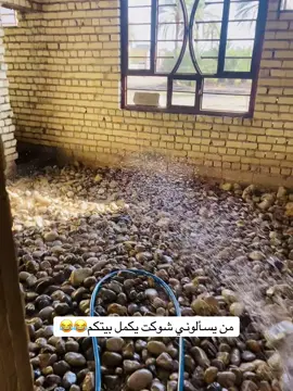 #اكسبلورexplore #for #بيتي #الشعب_الصيني_ماله_حل😂😂 #بناء 