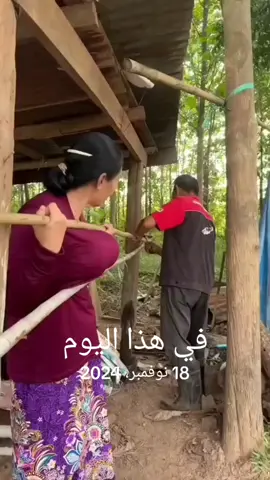 #في هذا اليوم 