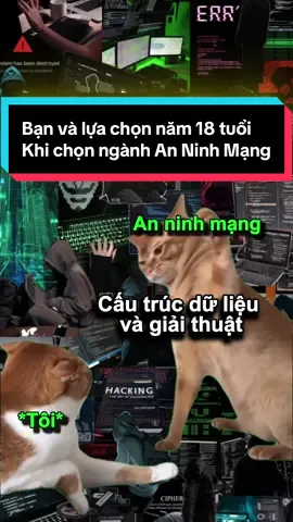 Bạn và lựa chọn năm 18 tuổi, khi chọn ngành an ninh mạng và cntt #funny #anninhmang #cybersecurity #trend #it 