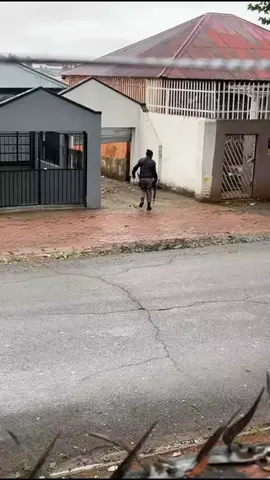 kwavuta #malawiantiktok🇲🇼 #zambiantiktok🇿🇲🇿🇲 #mozambiquetiktok🇲🇿 #southafricatiktok🇿🇦 