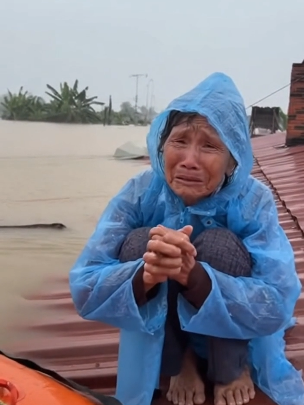 Thương lắm miền Trung tôi ơi #bão #bãolụtmiềntrung #fyp #viral #xuhuong 