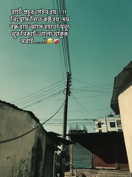 হার্টে প্রচুর পেইন হয় ...!! নিঃশ্বাস নিতে কষ্ট হয়, দম বন্ধ হয়ে আসে হয়তো মৃত্যু খুব নিকটে ভালো থাকুক সবাই .....!!#bdtiktokofficial #vairalvideo #foryou #500k #inshallahforyou 