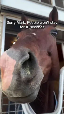 Sorry Mark, People won't stay for 10 seconds