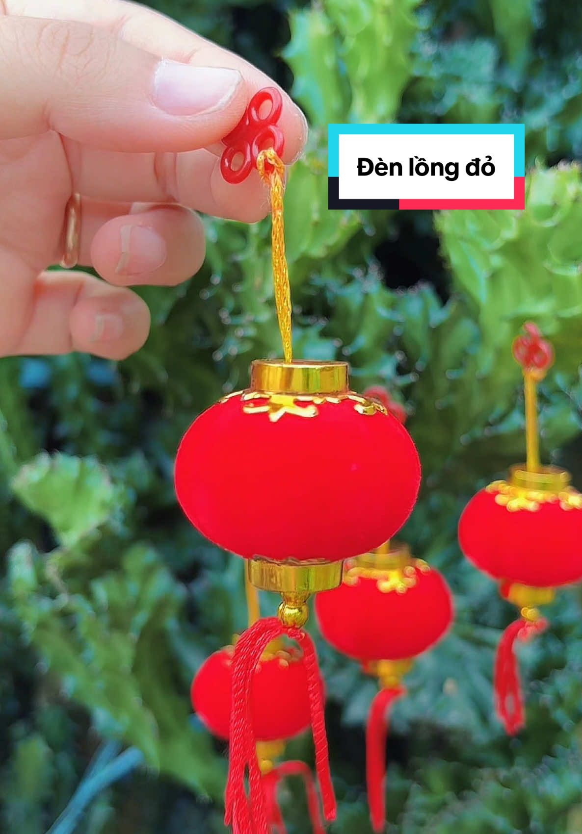 #longdendonhung #tiktoklekha39_93 