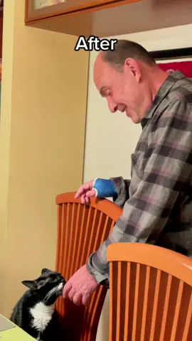 My father doesn't agree to let me keep a cat.... Then😂.#cat #fyp #kitty #catlover #catsoftiktok 