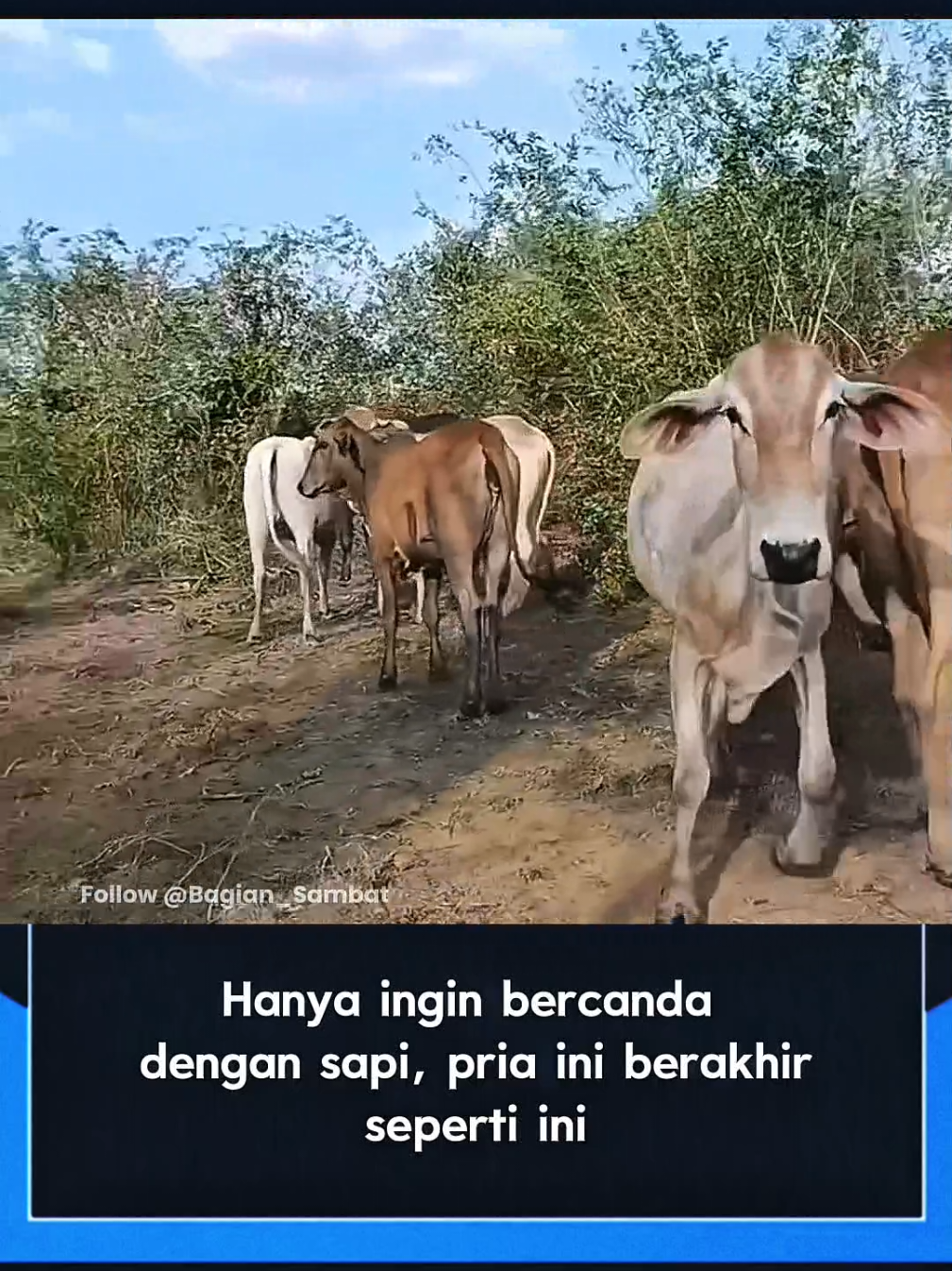 Kameramen tidak selamat😭 #fyp #fypシ゚  #foryou #lucu #hiburan 