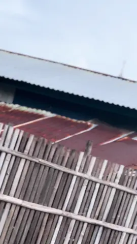 Hitam manis🖤🖤 #mio125 #miom3 #yamaha #fyp #masukberanda 