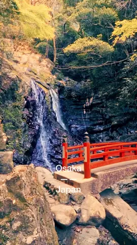Like 👍 please follow 😊 大阪・犬鳴山七宝瀧寺（Osaka – Inunaki-san Shippōryūji）🍁🍂 #犬鳴山 #七宝瀧寺 #犬鳴山七宝瀧寺 #大阪観光 #大阪パワースポット    